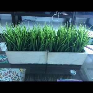 Plant decoration 2x$9